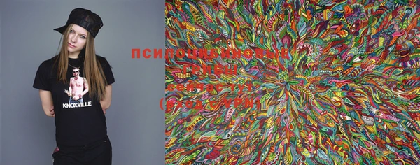 ECSTASY Новодвинск