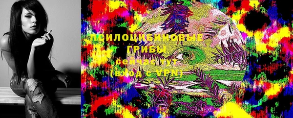 ECSTASY Новодвинск