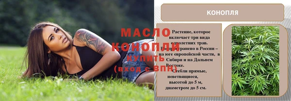 ECSTASY Новодвинск