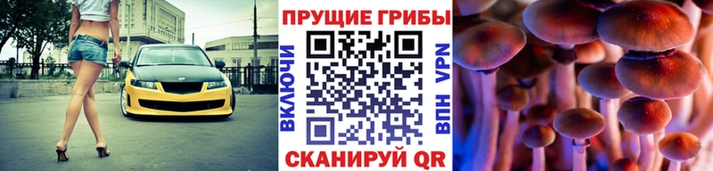 Псилоцибиновые грибы прущие грибы  купить наркоту  Усть-Кут 